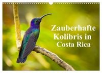 Produktbild: Zauberhafte Kolibris in Costa Rica (Wandkalender 2026 DIN A3 quer), CALVENDO Monatskalender