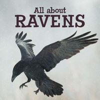 Produktbild: All about Ravens
