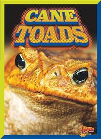 Produktbild: Cane Toads