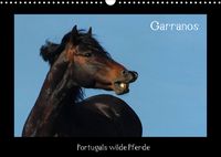 Produktbild: Garranos (Wandkalender 2022 DIN A3 quer)
