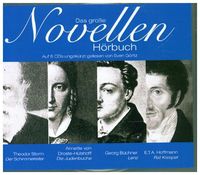 Bild vom Artikel Das Große Novellenhörbuch vom Autor Theodor Storm