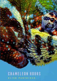 Produktbild: Chameleon Hours