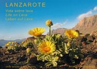 Produktbild: Lanzarote - Leben auf Lava