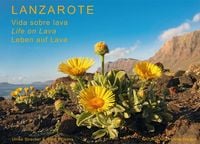 Produktbild: Lanzarote - Leben auf Lava
