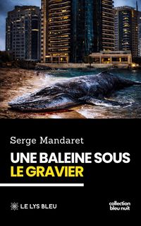 Produktbild: Une baleine sous le gravier