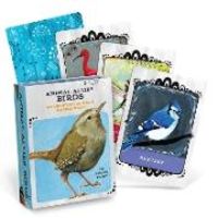 Produktbild: Animal Allies Birds Oracle Deck