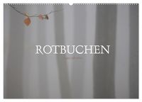 Produktbild: Rotbuchen (Wandkalender 2026 DIN A2 quer), CALVENDO Monatskalender
