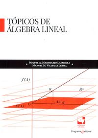 Produktbild: T&oacute;picos de &aacute;lgebra lineal