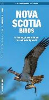 Produktbild: Nova Scotia Birds