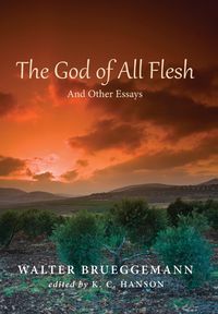 Produktbild: The God of All Flesh