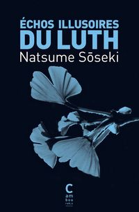 Produktbild: Echos illusoires du luth. Le go&ucirc;t en h&eacute;ritage