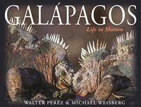 Produktbild: Perez, W: Galapagos