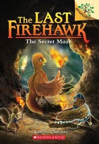 Produktbild: The Secret Maze: A Branches Book (the Last Firehawk #10)