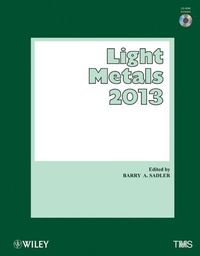 Produktbild: Light Metals 2013