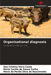 Produktbild: Organisational diagnosis