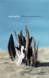 Produktbild: Measures of Expatriation