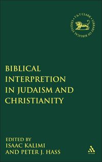 Produktbild: Biblical Interpretation in Judaism and Christianity