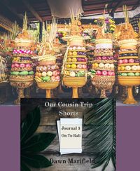 Produktbild: Our Cousin Trip Shorts Journal 3 On to Bali