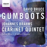 Produktbild: Gumboots/Klarinettenquintett op.115