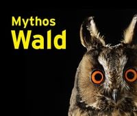 Produktbild: Mythos Wald