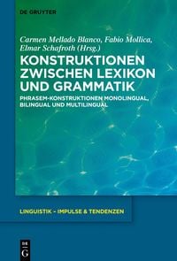 Produktbild: Konstruktionen zwischen Lexikon und Grammatik