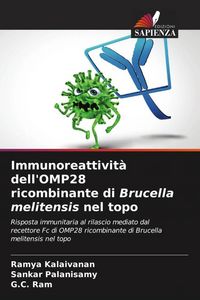 Produktbild: Immunoreattivit&agrave; dell'OMP28 ricombinante di Brucella melitensis nel topo