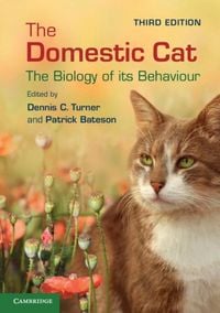 Produktbild: Domestic Cat