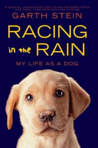 Produktbild: Stein, G: Racing in the Rain