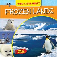 Produktbild: Frozen Lands