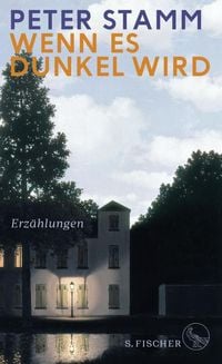Produktbild Wenn es dunkel wird