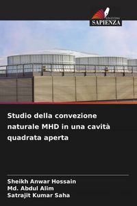 Produktbild: Studio della convezione naturale MHD in una cavit&agrave; quadrata aperta