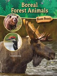 Produktbild: Boreal Forest Animals