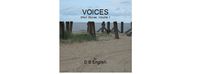 Produktbild: Voices (Short Stories, #1)