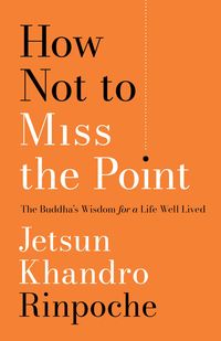 Produktbild: How Not to Miss the Point