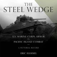 Produktbild: Steel Wedge