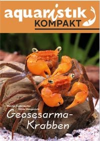 Produktbild: Geosesarma-Krabben - aquaristik KOMPAKT
