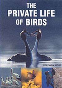 Produktbild: Private Life of Birds