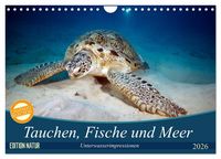 Produktbild: Tauchen, Fische und Meer (Wandkalender 2026 DIN A4 quer), CALVENDO Monatskalender