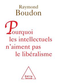 Produktbild: Pourquoi les intellectuels n'aiment pas le liberalisme