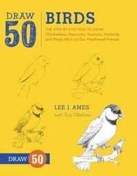 Produktbild: Draw 50 Birds
