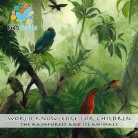 Produktbild: The Rainforest and its Animals