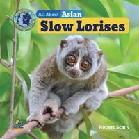 Produktbild: All about Asian Slow Lorises