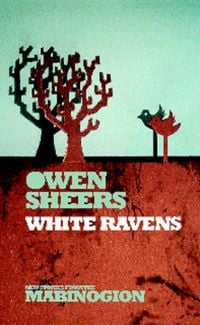 Produktbild: White Ravens