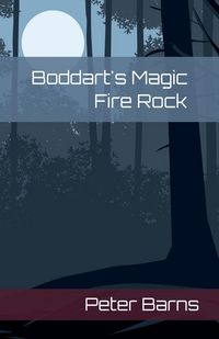 Produktbild: Boddaert's Magic Fire Rock