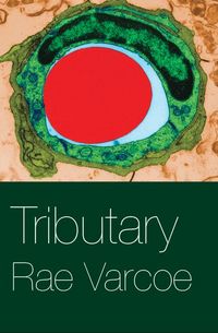 Produktbild: Tributary
