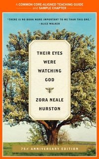 Produktbild: A Teacher's Guide to Their Eyes Were Watching God