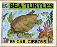 Produktbild: Sea Turtles