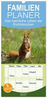 Produktbild: Familienplaner 2027 - Das heimliche Leben der Eichh&ouml;rnchen mit 5 Spalten (Wandkalender, 21 x 45 cm) CALVENDO