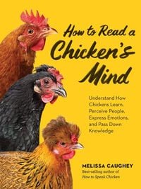 Produktbild: How to Read a Chicken's Mind