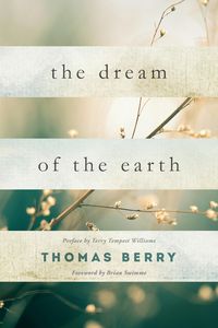 Produktbild: The Dream of the Earth